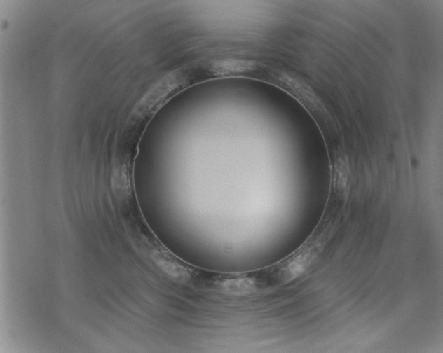 X0000072940426200607211106