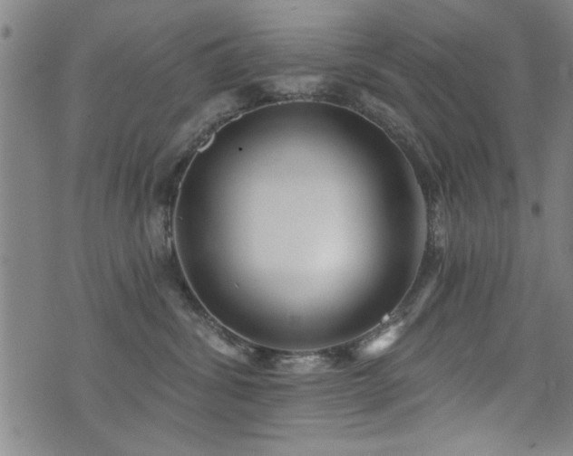 X0000072940428200607211106