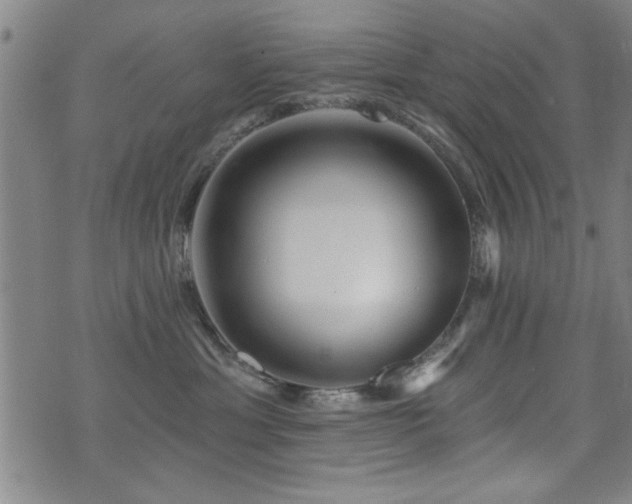 X0000072940429200607211106