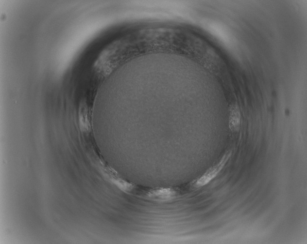 X0000072940431200607211106