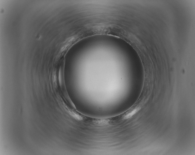 X0000072940432200607211106