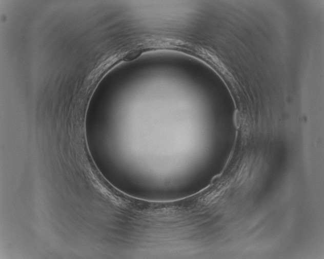 X0000072940433200607211105