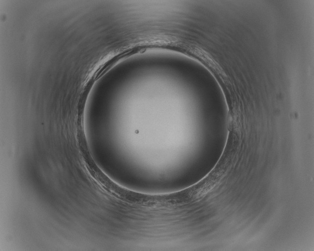 X0000072940434200607211105