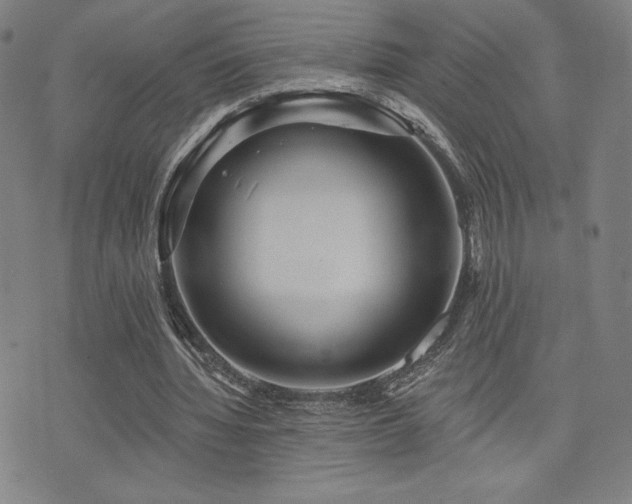 X0000072940436200607211105