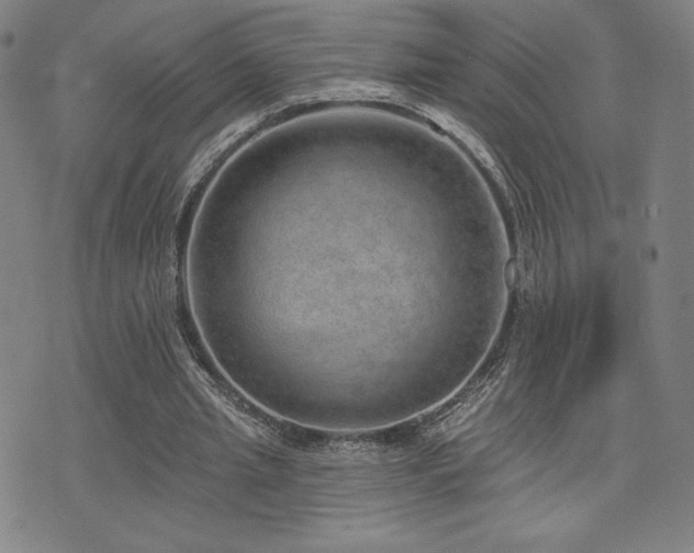 X0000072940437200607211105