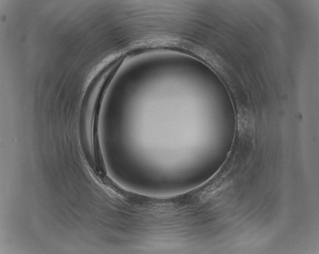 X0000072940438200607211105