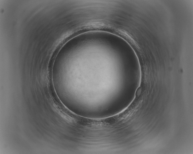 X0000072940439200607211106