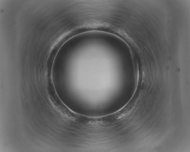 X0000072940440200607211106