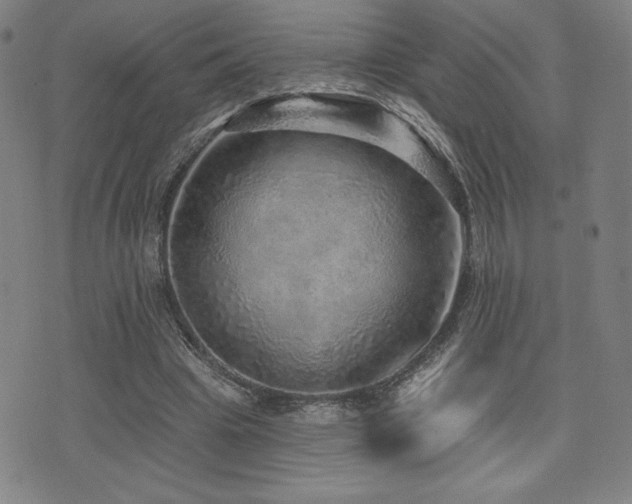 X0000072940441200607211106