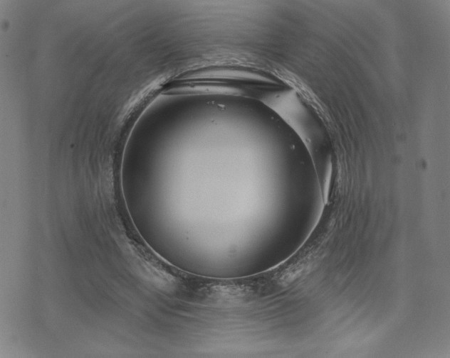 X0000072940442200607211106