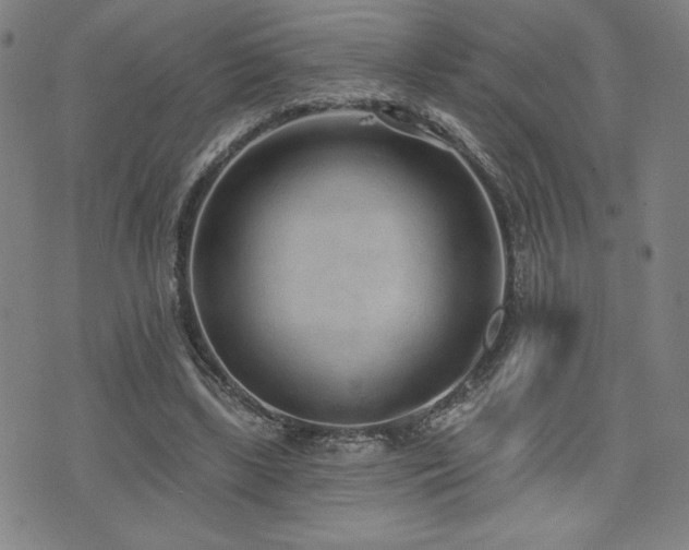 X0000072940443200607211106