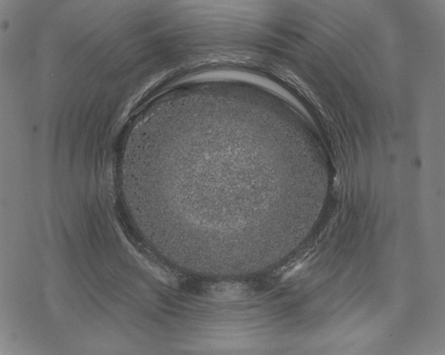 X0000072940444200607211106