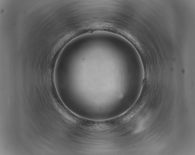 X0000072940445200607211106