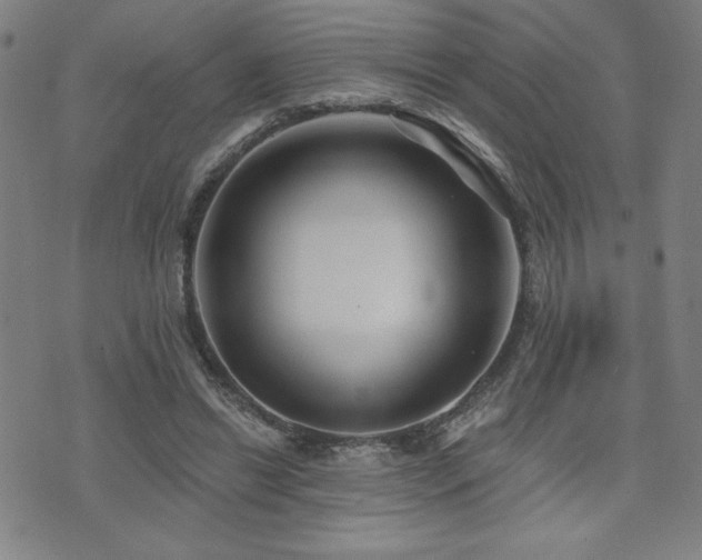 X0000072940446200607211106