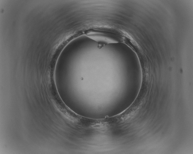 X0000072940447200607211106