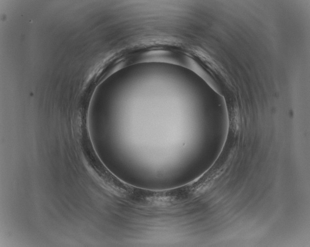 X0000072940448200607211106