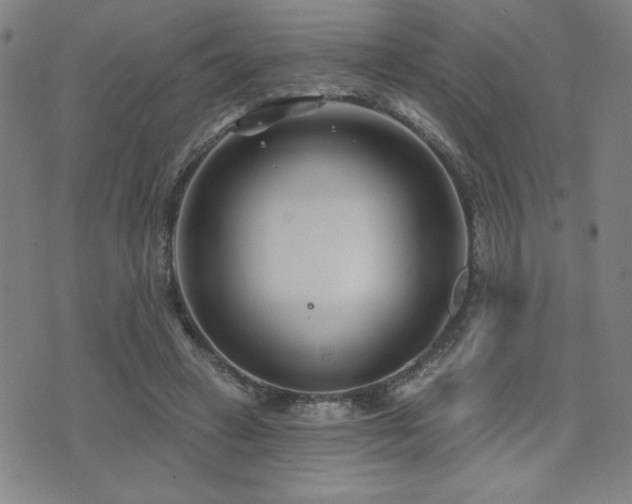 X0000072940449200607211106