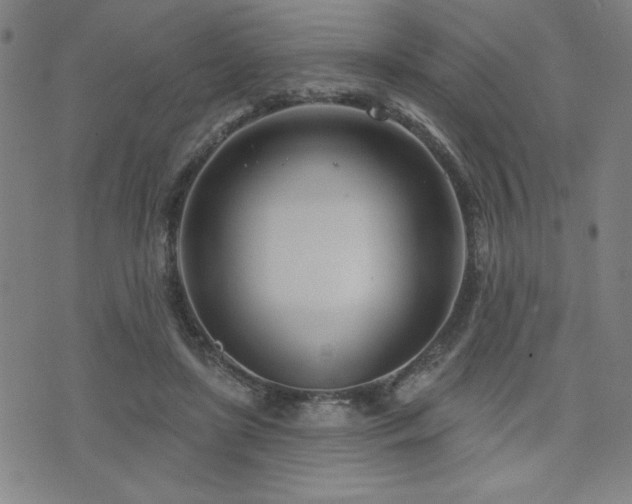 X0000072940451200607211106