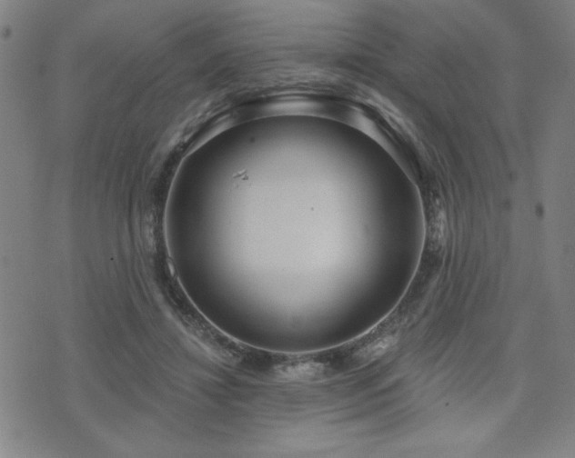 X0000072940452200607211106