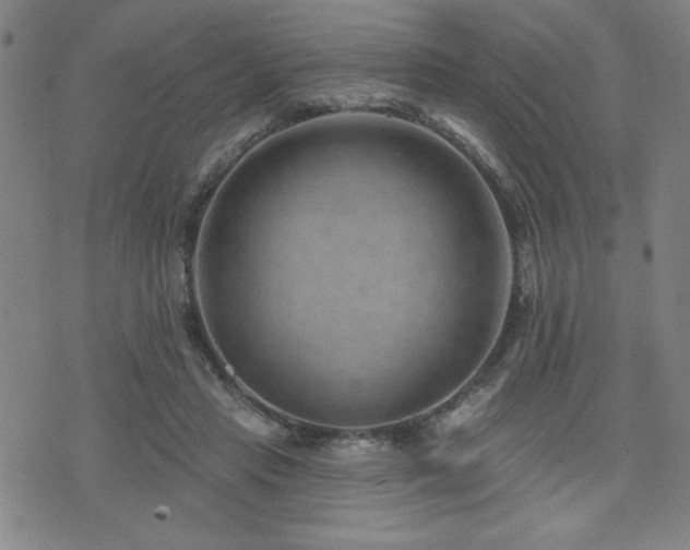 X0000072940453200607211106