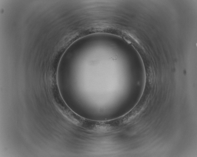 X0000072940455200607211106