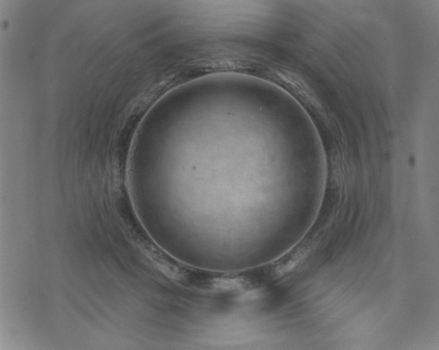 X0000072940457200607211106