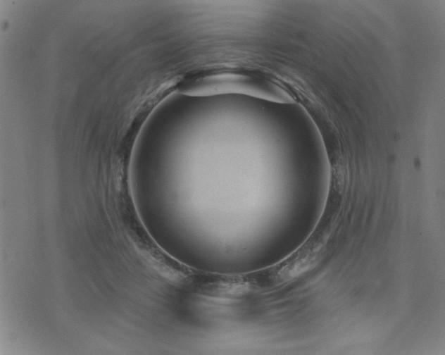 X0000072940458200607211106