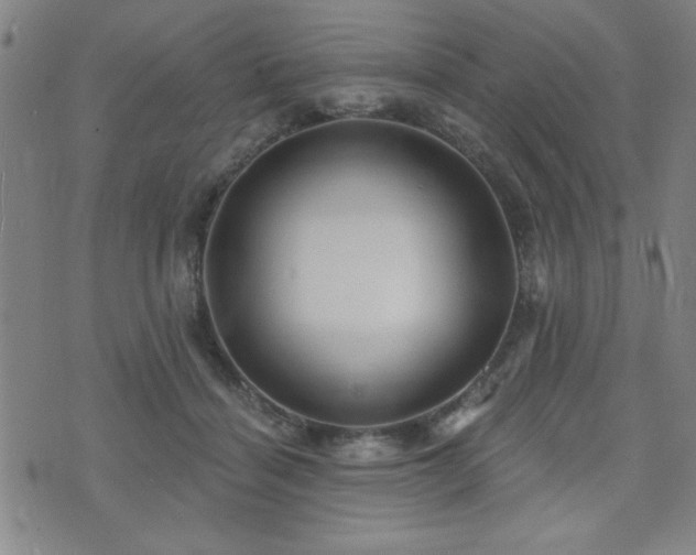 X0000072940460200607211106