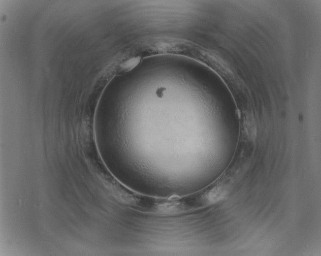 X0000072940461200607211106