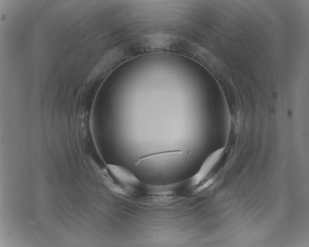 X0000072940462200607211106