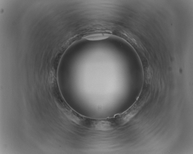 X0000072940463200607211106