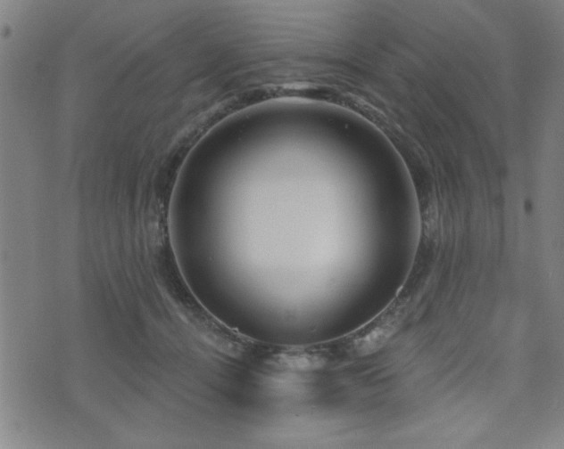 X0000072940464200607211106