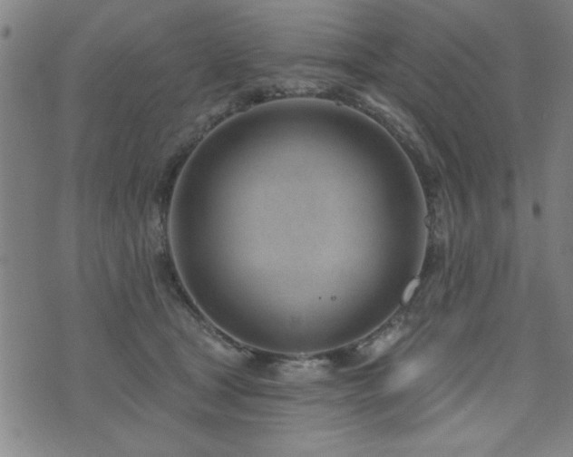 X0000072940465200607211106