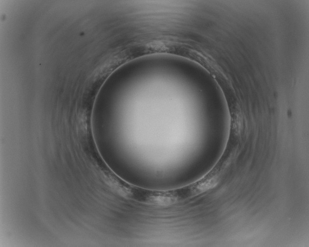 X0000072940466200607211106