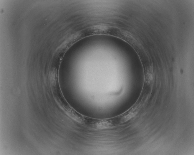 X0000072940468200607211106