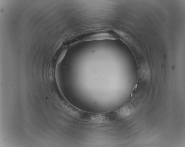 X0000072940470200607211106