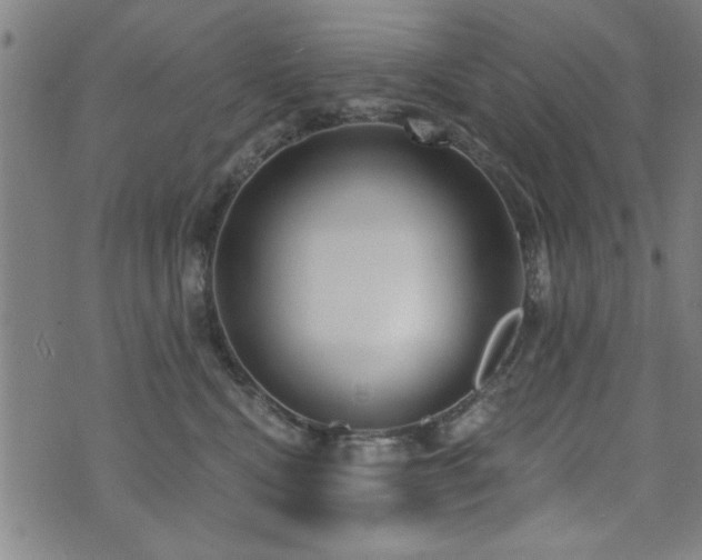 X0000072940472200607211106