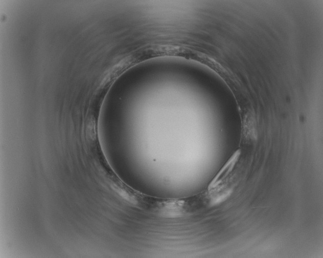 X0000072940474200607211106