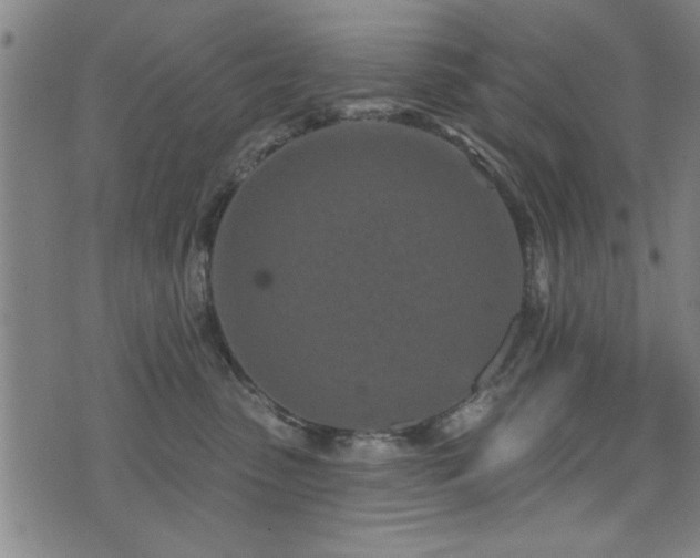 X0000072940475200607211106