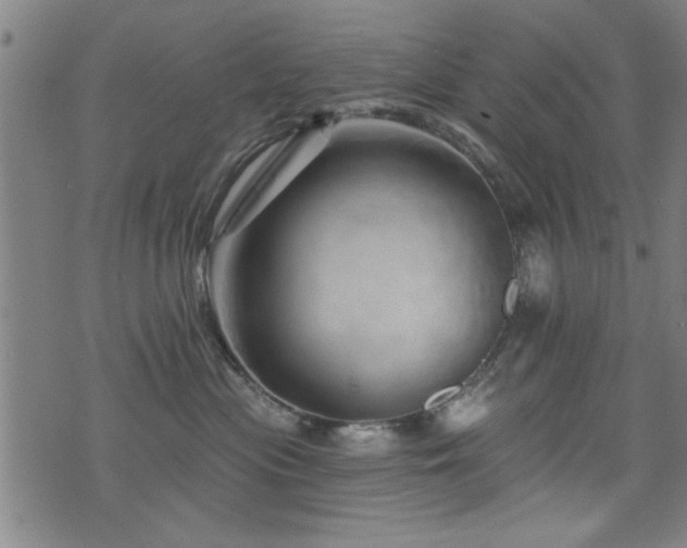 X0000072940477200607211106