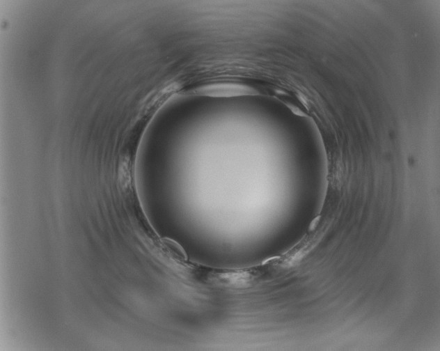 X0000072940478200607211106