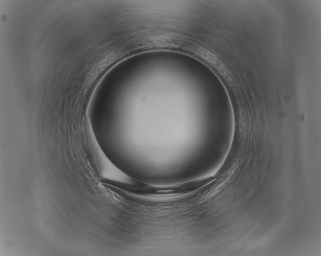 X0000072940481200607211105