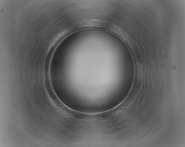 X0000072940482200607211105