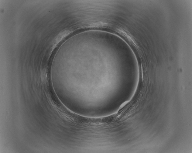 X0000072940483200607211105