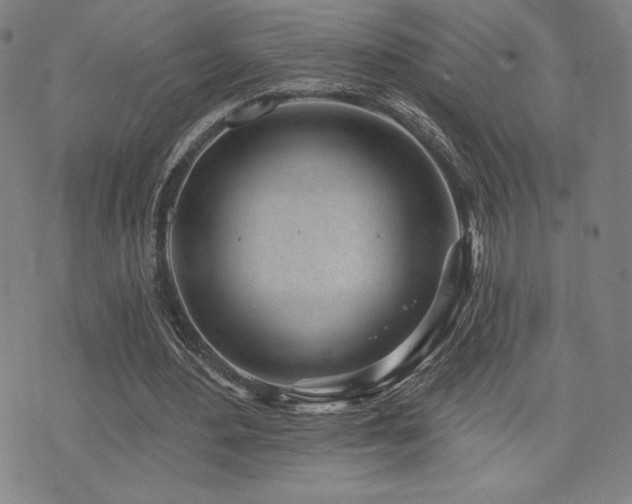 X0000072940484200607211105