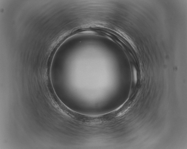 X0000072940485200607211105