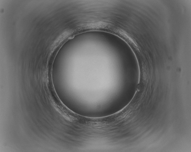 X0000072940486200607211105