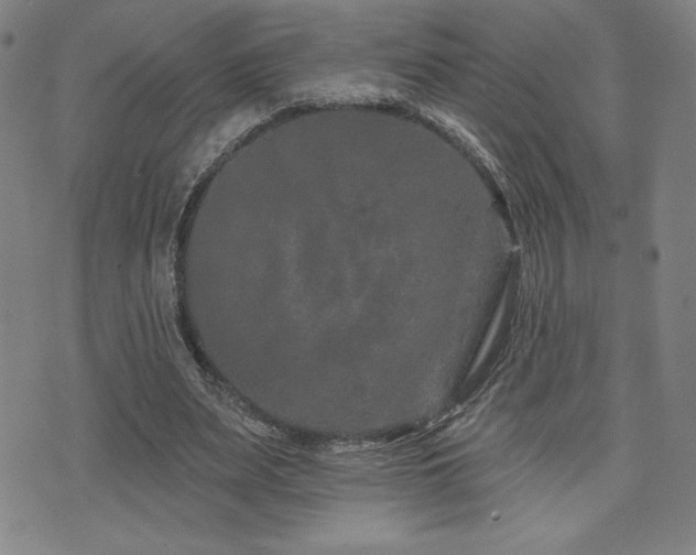 X0000072940487200607211105