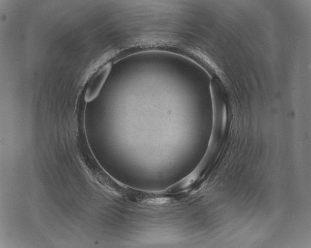 X0000072940488200607211105