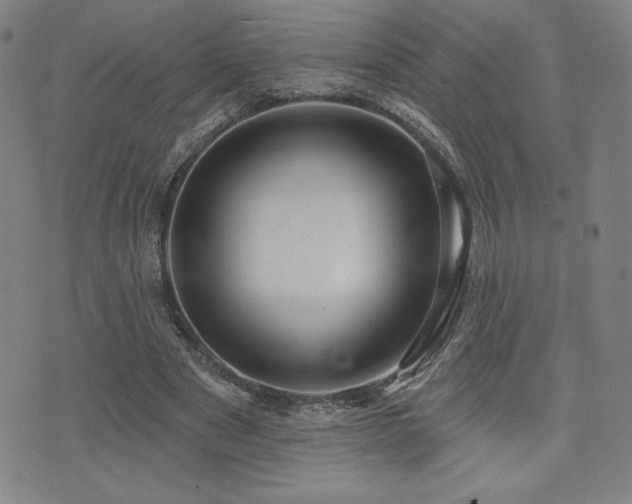 X0000072940489200607211105